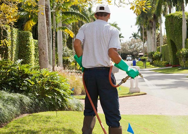About Morristown MN Pest Control